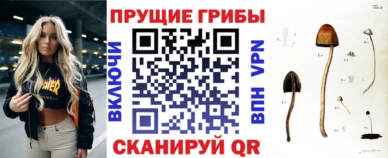 Купить где  Дегтярск  Псилоцибиновые грибы Magic Shrooms 